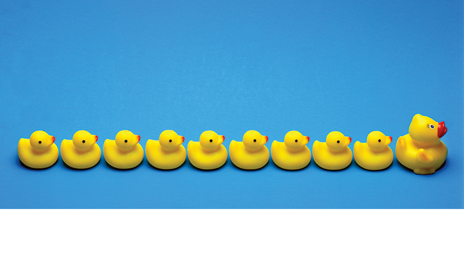 duck